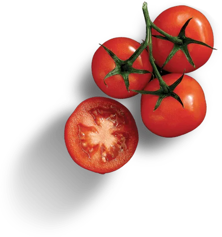 divi-food-store-6